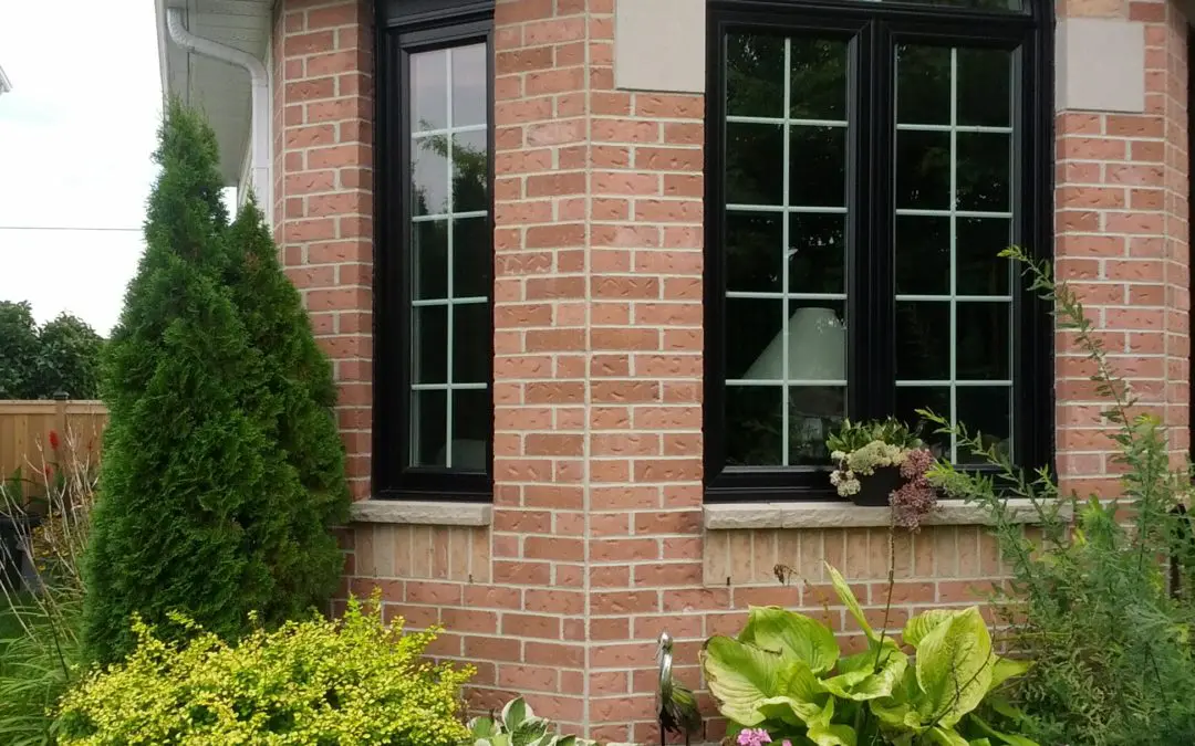 Replacement Windows with Dramatic Flair