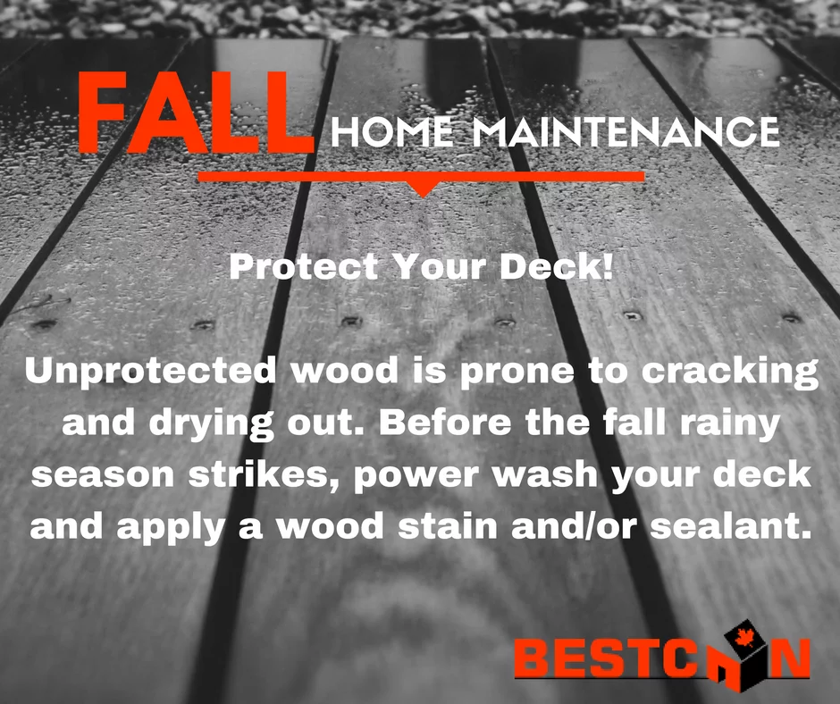 protect your deck bestcan ottawa