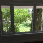 Interior view through wide window facing backyard greenery