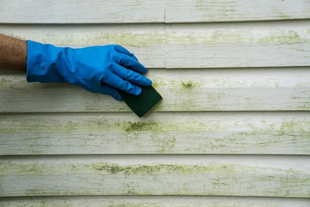 clean my plastic siding