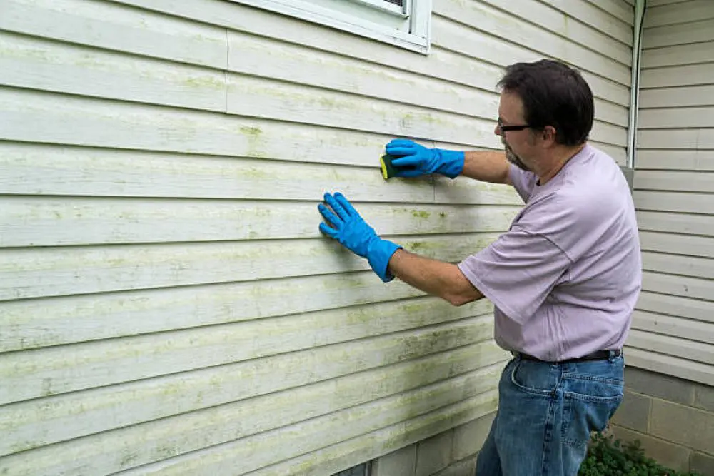 how to clean siding