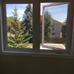 White-framed casement window open to backyard view with pine trees